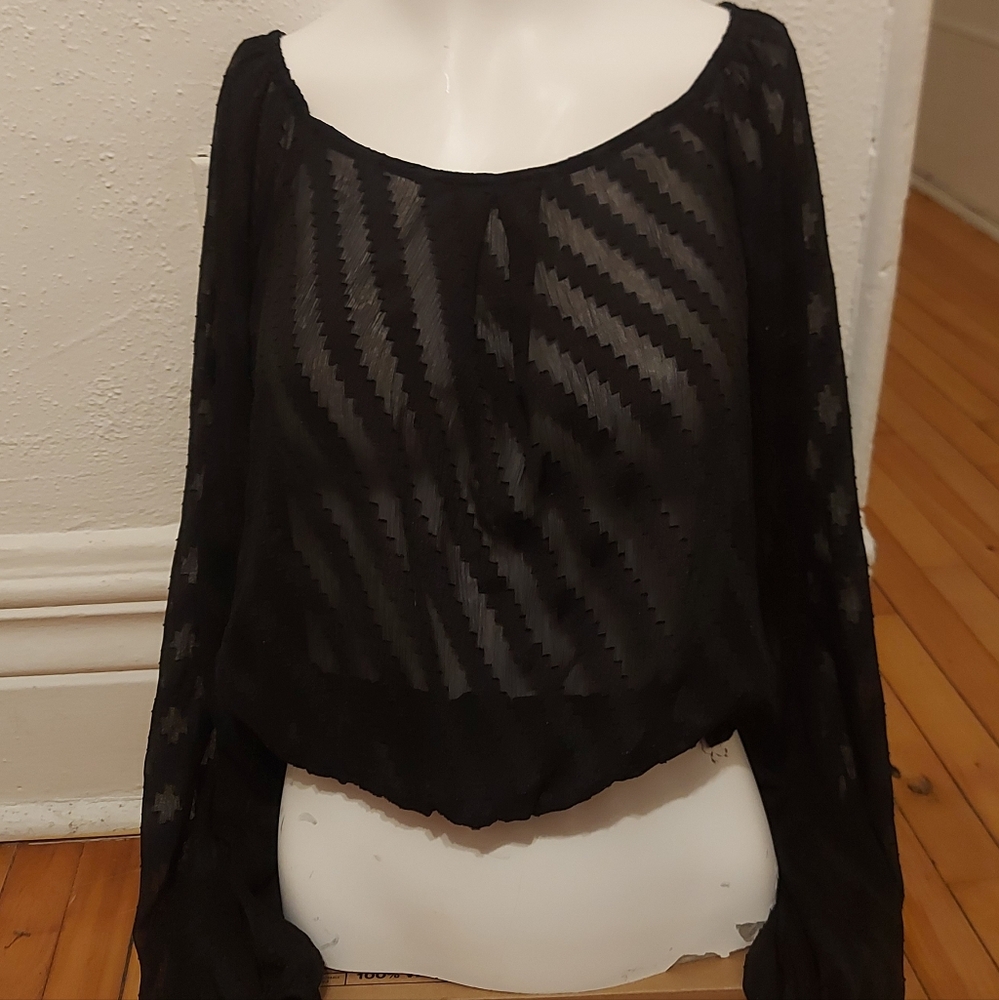 Elegant Black Sheer Women's Top